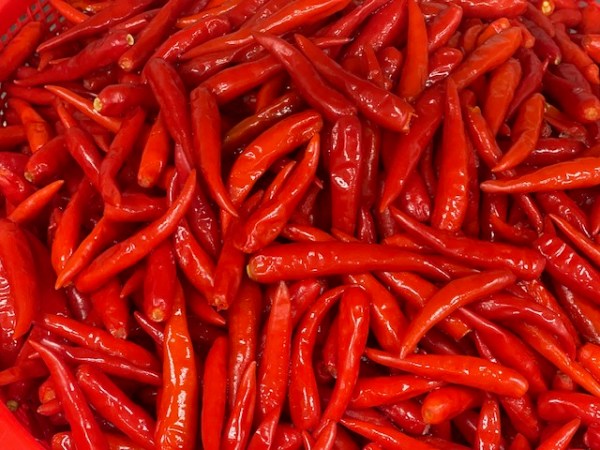 Bird’s Eye Chilies